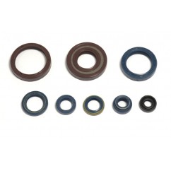 ENGINE OIL SEALS KIT