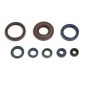 ENGINE OIL SEALS KIT