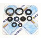 ENGINE OIL SEALS KIT