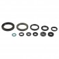 ENGINE OIL SEALS KIT