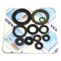 ENGINE OIL SEALS KIT