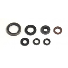 ENGINE OIL SEALS KIT