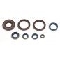 ENGINE OIL SEALS KIT