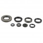 ENGINE OIL SEALS KIT