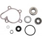 REPAIR KIT WATER PUMP YAM