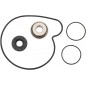 REPAIR KIT WATER PUMP POL