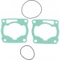 GASKET KIT RACE YAM