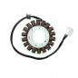 Stator ELECTROSPORT