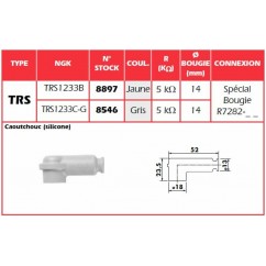 Anti-parasite NGK Jaune - TRS1233B