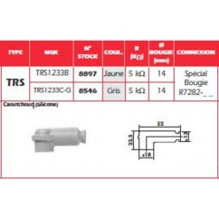 Anti-parasite NGK Jaune - TRS1233B