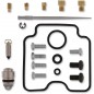 REPAIR KIT CARB POL