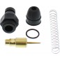 CHOKE PLUNGER KIT LT-A400