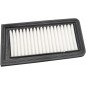 AIR FILTER AN650 BURGMAN