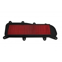 AIR FILTER PEOPLE GT