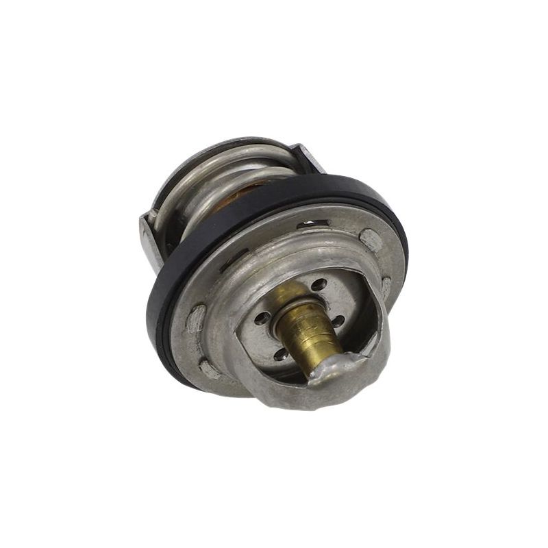 THERMOSTAT POLARIS - 19021706