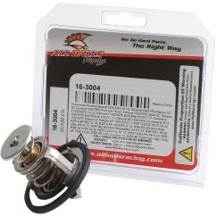THERMOSTAT POLARIS - 19021707