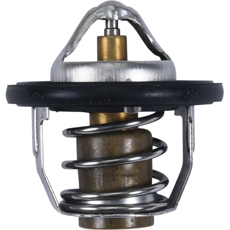 THERMOSTAT POLARIS - 19021708