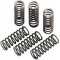 SPRINGS CLUTCH-KXF/RMZ