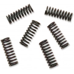 CLUTCH SPRING KIT YAM