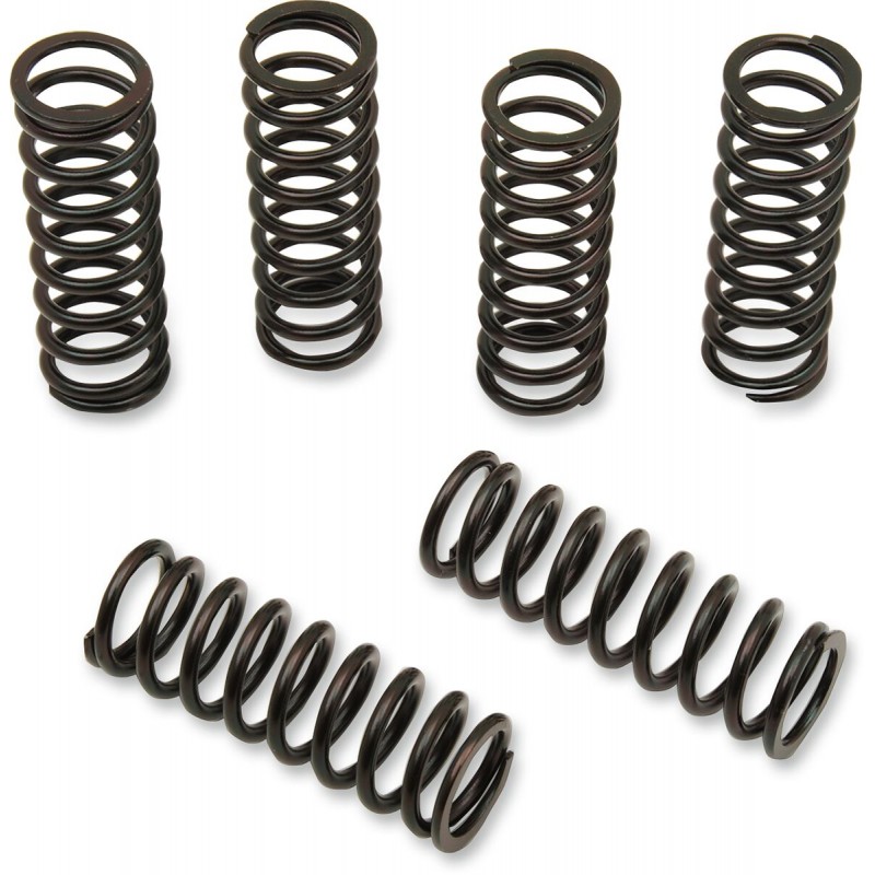 CLUTCH SPRING KIT HON