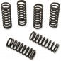 CLUTCH SPRING KIT HON