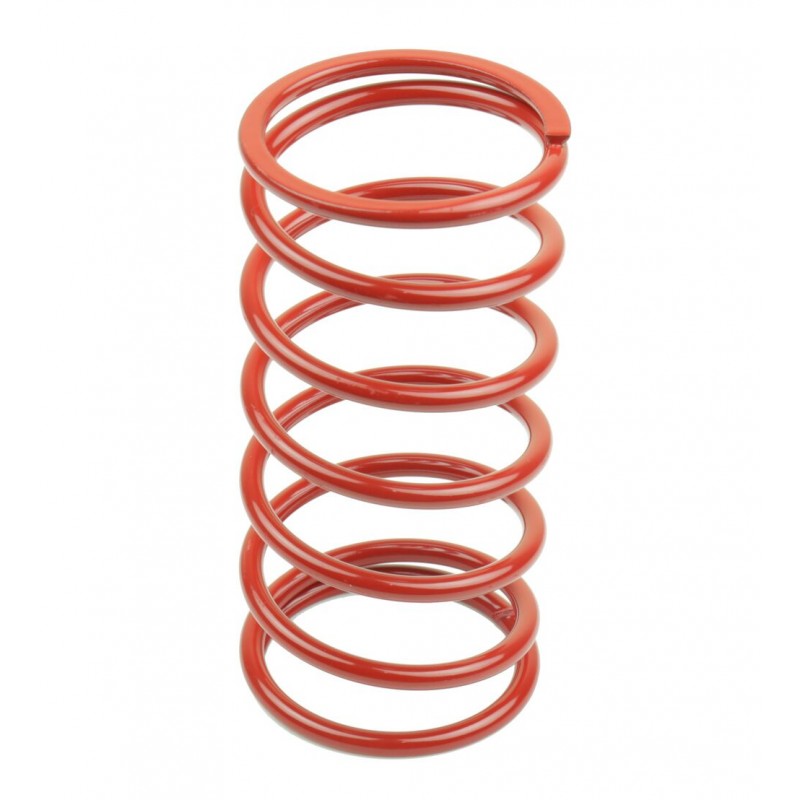 VARIATOR SPRINGS