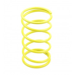 VARIATOR SPRINGS