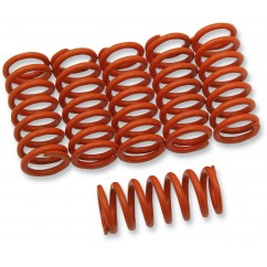 CLUTCH SPRING KIT KTM POL