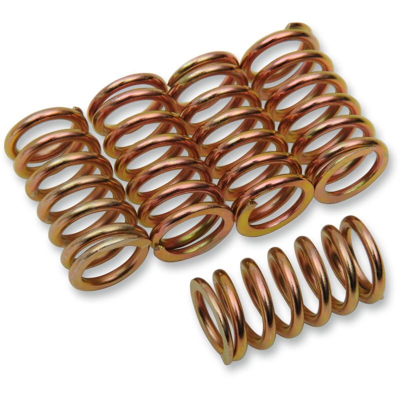 CLUTCH SPING KIT SET OF 5 - 2012315
