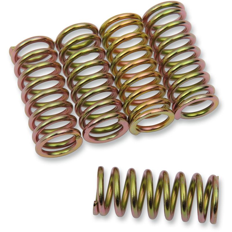 CLUTCH SPING KIT SET OF 5 - 2012319