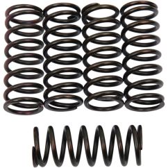 CLUTCH SPING KIT SET OF 5 - 2012321