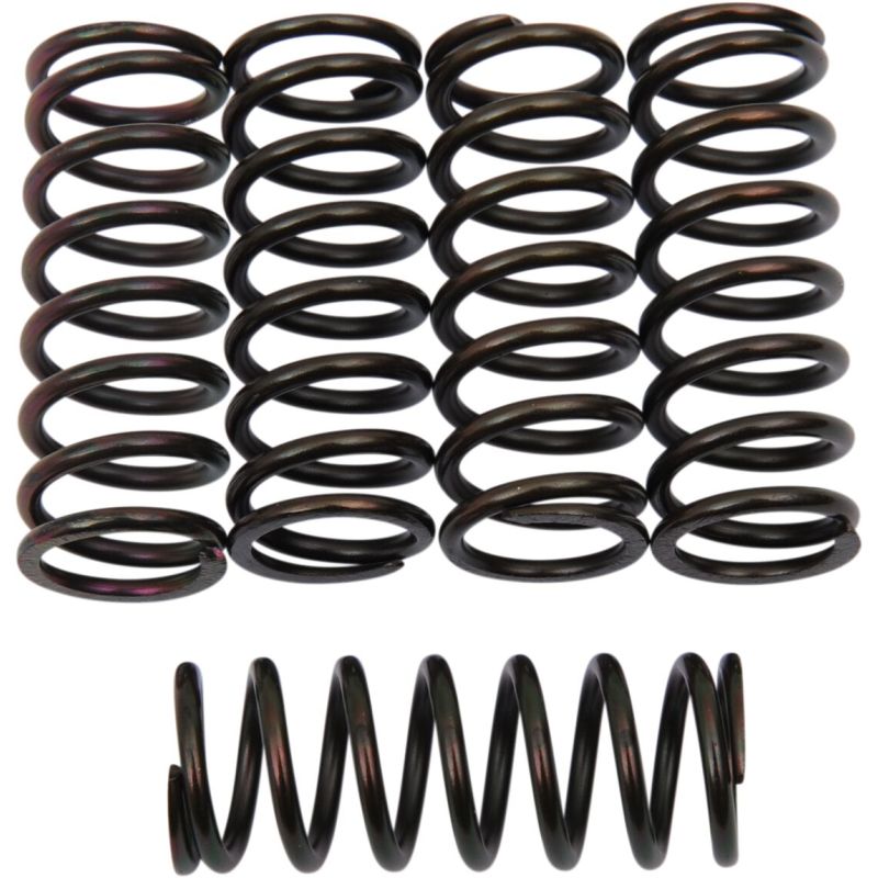 CLUTCH SPING KIT SET OF 5 - 2012321