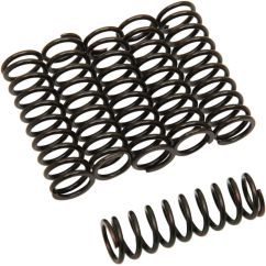 CLUTCH SPING KIT SET OF 6 - 2012361