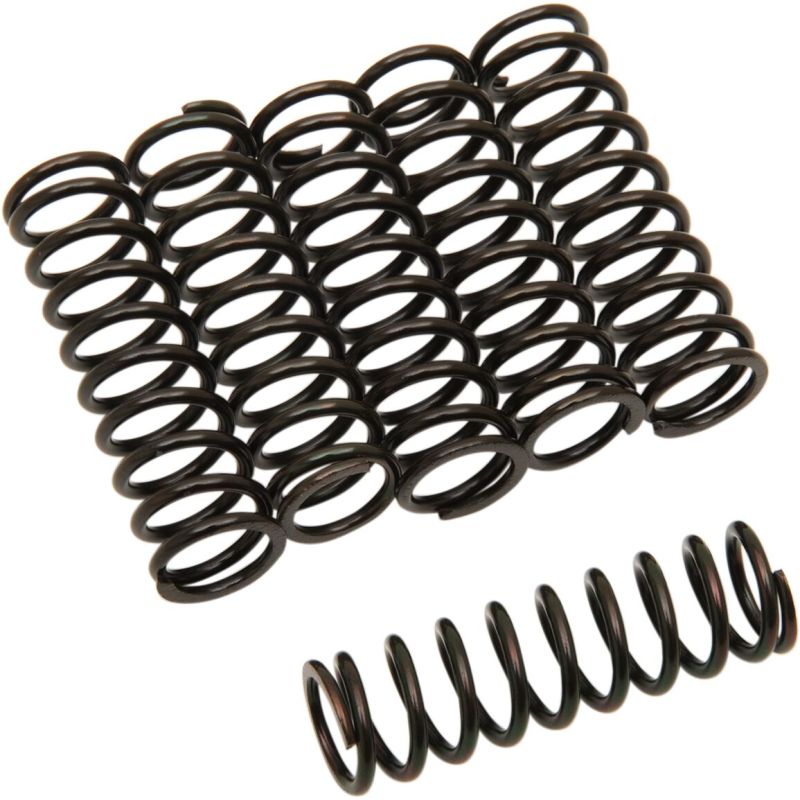 CLUTCH SPING KIT SET OF 6 - 2012361