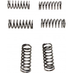 CLUTCH SPRING SET (6 PCS)