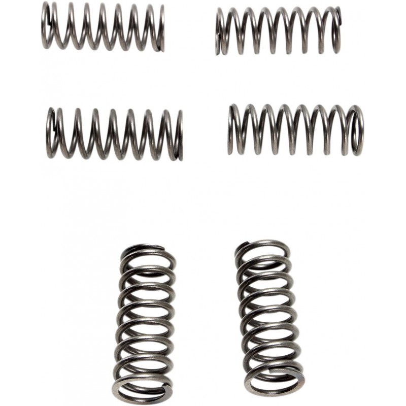 CLUTCH SPRING SET (6 PCS)