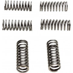 CLUTCH SPRING SET CSK