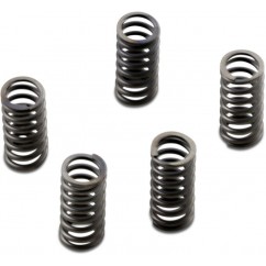 CLUTCH SPRING SET CSK