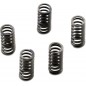 CLUTCH SPRING SET CSK