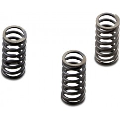 CLUTCH SPRING SET CSK