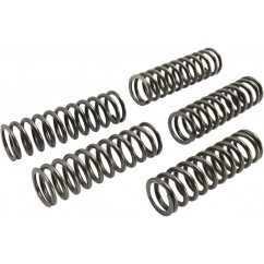 CLUTCH SPRING SET (5 PCS)