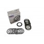 CLUTCH KIT CARBON DRCF SER