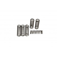 CLUTCH SPRING SET (6 PCS)