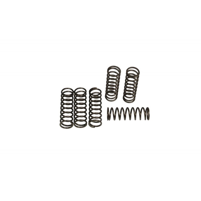 CLUTCH SPRING SET (6 PCS)