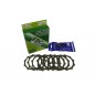 CLUTCH KIT PLTS SPRGS SRC