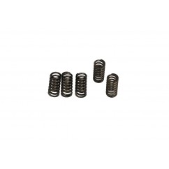 CLUTCH SPRING SET (6 PCS)