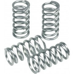 CLUTCH SPRING KIT