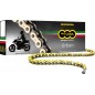 CHAIN 420OROY GB 100C