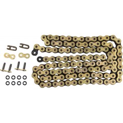 CHAIN DRV MSE FB 520-110