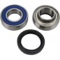 CHAINCASE BEARING-SEAL KT